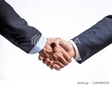 商談が決まって握手するビジネスマンをイメージ 126446720