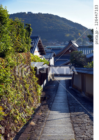 金戒光明寺の石畳 126447183