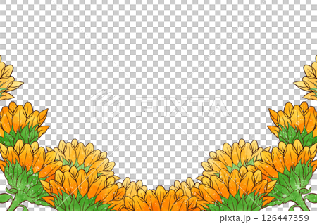 ひまわり ひまわり 126447359