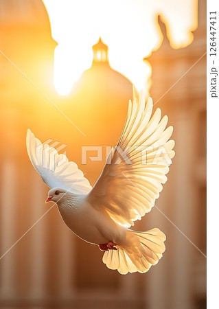 The death of Pope Francis, the pontiff, a white dove against the backdrop of St. Peter's Basilica, morning light and an atmosphere of serenity and peace. 126447411