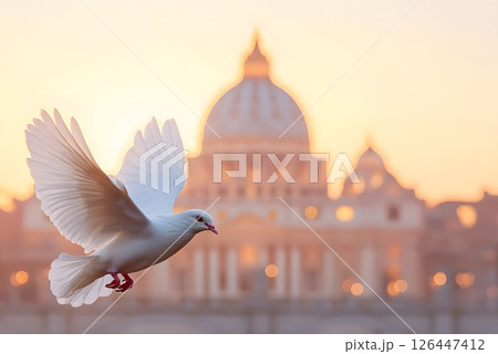 The death of Pope Francis, the pontiff, a white dove against the backdrop of St. Peter's Basilica, morning light and an atmosphere of serenity and peace. 126447412