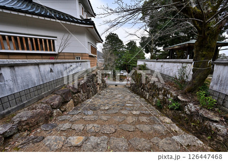 小倉山城跡 模擬天守と曲輪の様子 小倉山城跡 模擬天守と曲輪の様子 126447468