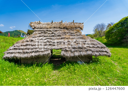 奈良県明日香村　国営飛鳥歴史公園　キトラ古墳周辺地区　わらぶき屋根の小屋 126447600