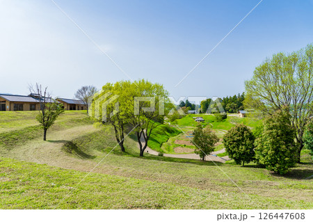 奈良県明日香村　国営飛鳥歴史公園　キトラ古墳周辺地区の田んぼ 126447608