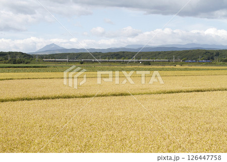 【ARCHIVE】寝台特急トワイライトエクスプレス　トワイライトエクスプレス 126447758