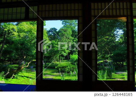 旧三井家下賀茂別邸(京都市左京区)から見る新緑の庭園 旧三井家下賀茂別邸(京都市左京区)から見る新緑の庭園 126448165