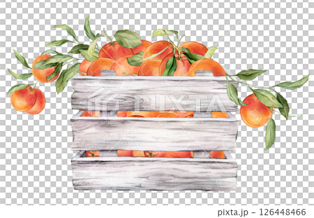 Wooden crate with fresh grapefruit. Farmer's market, healthy eating or tropical fruits theme with Citrus branches. Hand drawn watercolor illustration isolated on white background. 126448466
