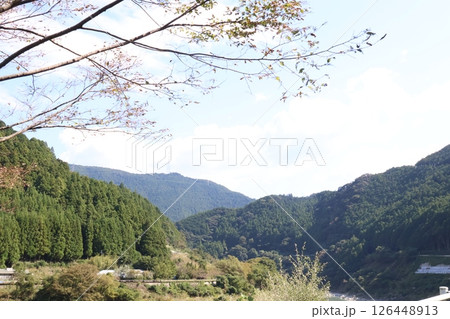 桜の木と山の風景 126448913