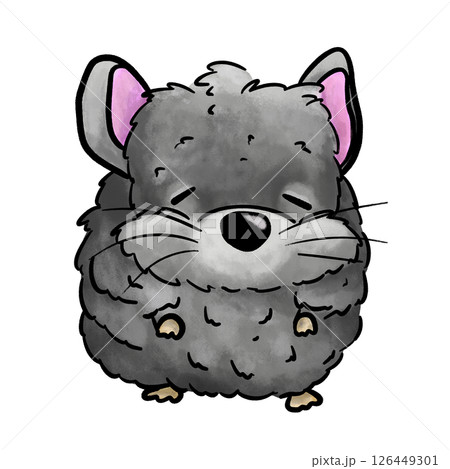 Chinchilla cartoon isolated illustration, sleepy chinchilla animal Chinchilla cartoon isolated illustration, sleepy chinchilla animal 126449301