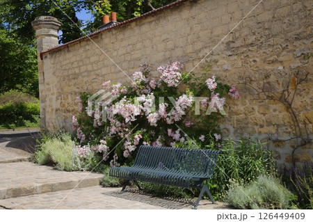オーヴェル・シュル・オワーズの教会脇のベンチと花壇 オーヴェル・シュル・オワーズの教会脇のベンチと花壇 126449409