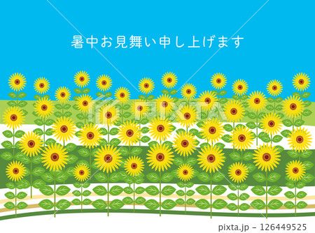 夏の風景、ひまわり畑と青空、暑中見舞い 126449525