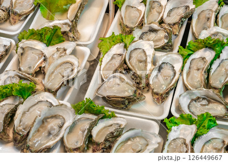 oysters raw open sashes, in street market in Thailand, selective focus oysters raw open sashes, in street market in Thailand, selective focus 126449667