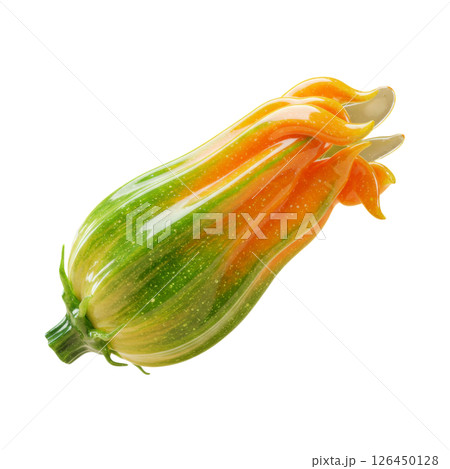 Fresh Zucchini Blossom with Vibrant Orange Petals 126450128