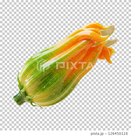 Fresh Zucchini Blossom with Vibrant Orange Petals 126450128