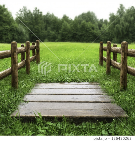 Serene Wooden Pathway Surrounded by Lush Greenery Under Overcast Sky 126450262