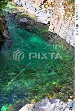 《長野県》春の阿寺渓谷　阿寺ブルーの清流 126450539