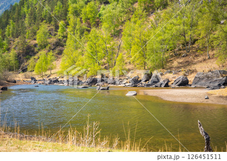 Chulyshman river flowing near Kyrsai bay at southern end of Teletskoye lake in Altai Russia Mountain watercourse in remote natural valley 126451511