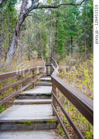 Wooden path with steps and handrails leading through forest to Korbu waterfall in Altai Russia. Scenic trail in wild nature near Teletskoye lake 126451519