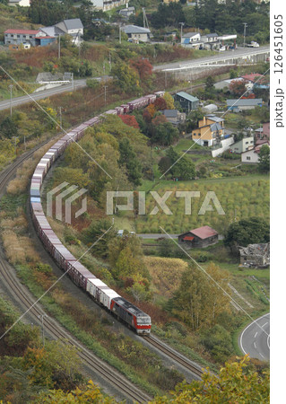 室蘭本線貨物列車　JR貨物　DF200　電気式ディーゼル機関車 126451605