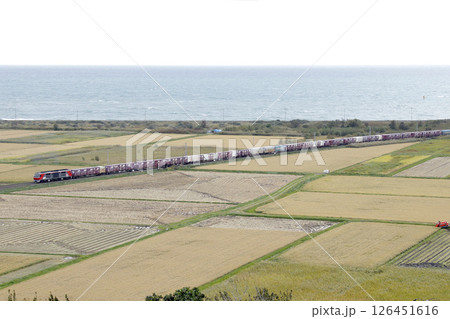 内浦湾を背に札幌貨物ターミナルを目指す貨物列車　DF200 126451616