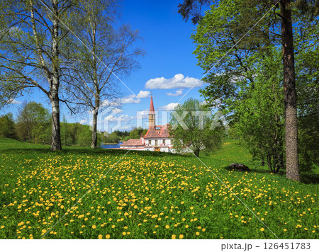 meadow of blooming dandelions and old Maltese palace meadow of blooming dandelions and old Maltese palace 126451783