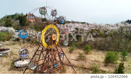 桜満開の化所沼レジャーランド　空撮 126452066