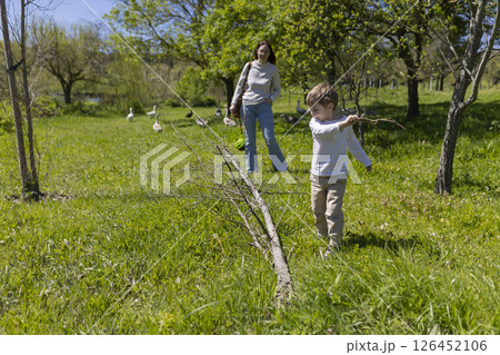 Child playing with stick in park with mother watching geese 126452106
