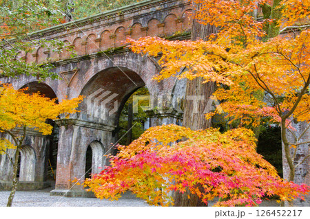南禅寺　紅葉　京都 126452217