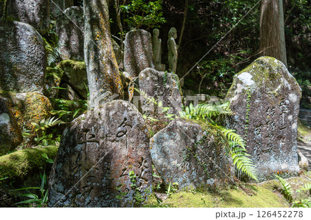 Engraved stones and statues at Mitaki-Dera temple in Hiroshima, Japan 126452278