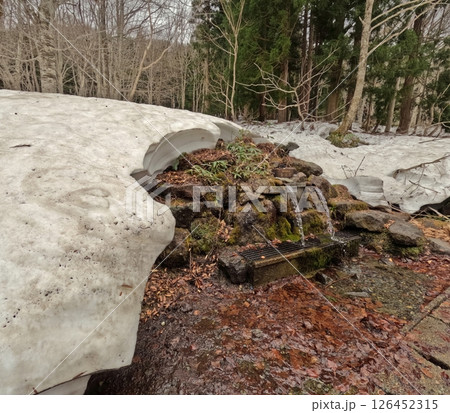 雪解けの栗駒神水 126452315