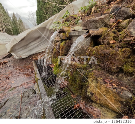 雪解けの栗駒神水 126452316