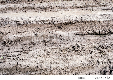 dirt on road and tracks from car wheels 126452612