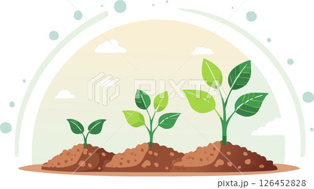 Stages of plant growth in an illustrated flat scene. Leaf sizes and soil color indicate progress, ideal for nature and climate themes. Stages of plant growth in an illustrated flat scene. Leaf sizes and soil color indicate progress, ideal for nature and climate themes. 126452828