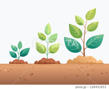 Graphic of three plant growth stages over soil with soft gradients and clean layout. Ideal for sustainability and nature concepts. 126452831