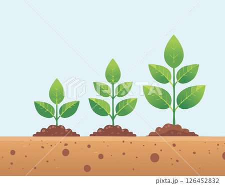 A plant life cycle showing stages of growth in soil. Green color palette and soft background make it ideal for educational or eco content. A plant life cycle showing stages of growth in soil. Green color palette and soft background make it ideal for educational or eco content. 126452832