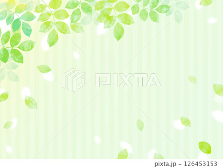 新緑の葉が舞う爽やかなイラスト素材 126453153