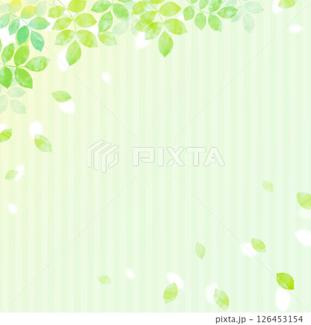 新緑の葉が舞う爽やかなイラスト素材 新緑の葉が舞う爽やかなイラスト素材 126453154