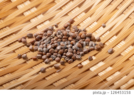 ［野菜の種］赤丸はつか大根 126453158