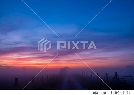 Serene Dawn A Mystical Foggy Pathway Beneath a Colorful Sky, Essential for Nature Lovers 126453191