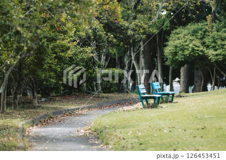 公園にあるベンチ 公園にあるベンチ 126453451