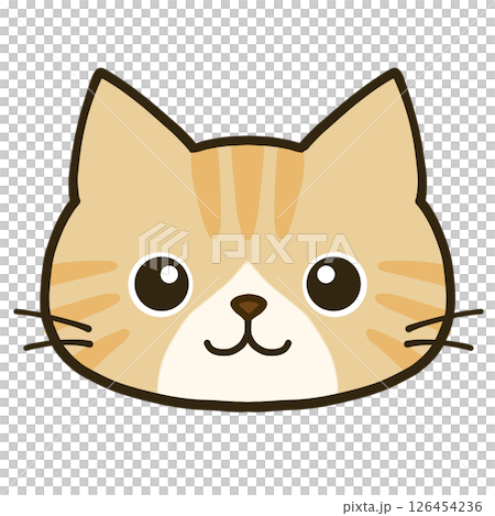 A simple brown tabby cat with round eyes 126454236