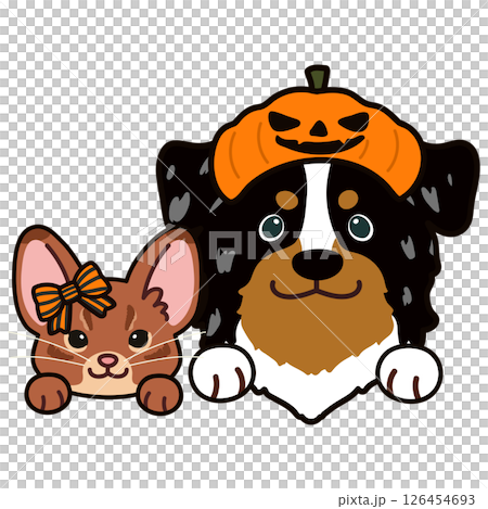 ハロウィンの仮装をしたアビシニアン猫とオーストラリアンシェパード 126454693