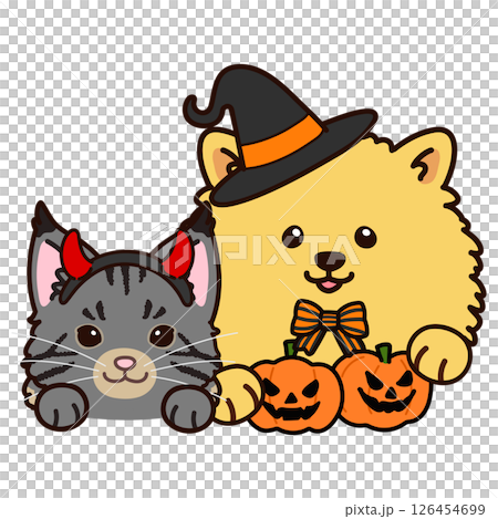 ハロウィンの仮装をしたメインクーンとポメラニアン 126454699
