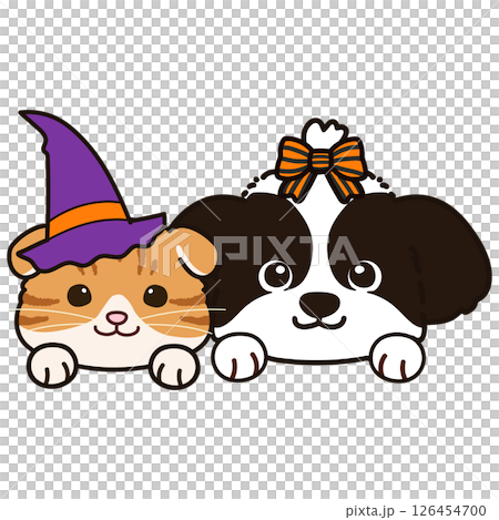 ハロウィンの仮装をしたシーズーとスコティッシュフォールド 126454700