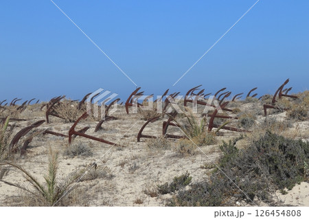 Anchor Cemetery at Praia do Barril, Tavira, Portugal 126454808