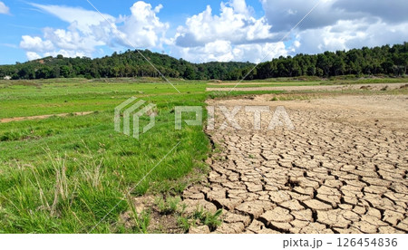 Contrasting Landscapes of Lush Vibrant Green Grass and Dry Cracked Earth Under Blue Sky with White Clouds in a Rural Environment 126454836