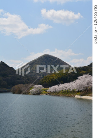 三郎池と馬山2(香川県高松市三谷町) 三郎池と馬山2(香川県高松市三谷町) 126455765
