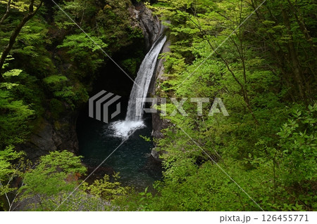 大釜の滝2（徳島県那賀郡那賀町） 126455771