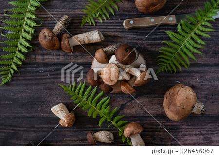 Basket with edible white mushrooms. Boletus edulis. Collect porcini in forest Basket with edible white mushrooms. Boletus edulis. Collect porcini in forest 126456067