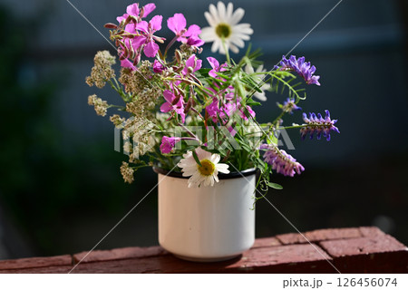 Colorful wildflower arrangement in white ceramic pot placed on wooden surface in warm sunlight during afternoon 126456074